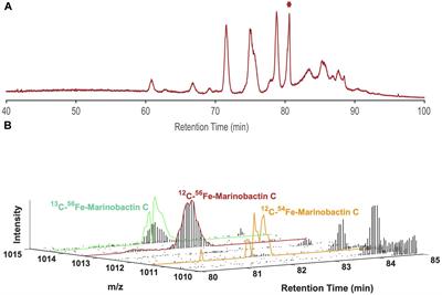 Element-Selective Targeting of Nutrient Metabolites in Environmental Samples by Inductively Coupled Plasma Mass Spectrometry and Electrospray Ionization Mass Spectrometry